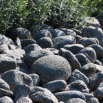 Välkommen till Bröderna Larssons Grustag i Veddige. bakgrundsbild